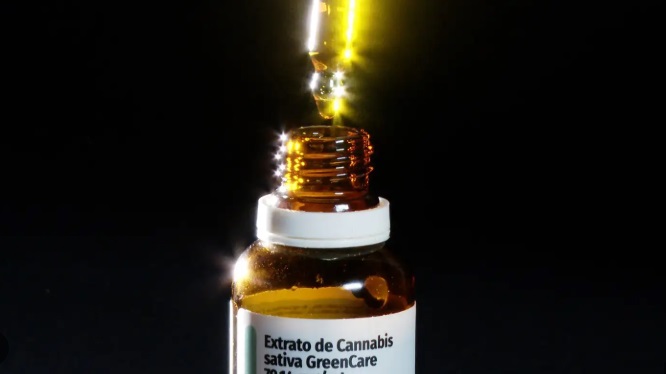 Santa Catarina avança com lei de fornecimento de cannabis medicinal via SUS
