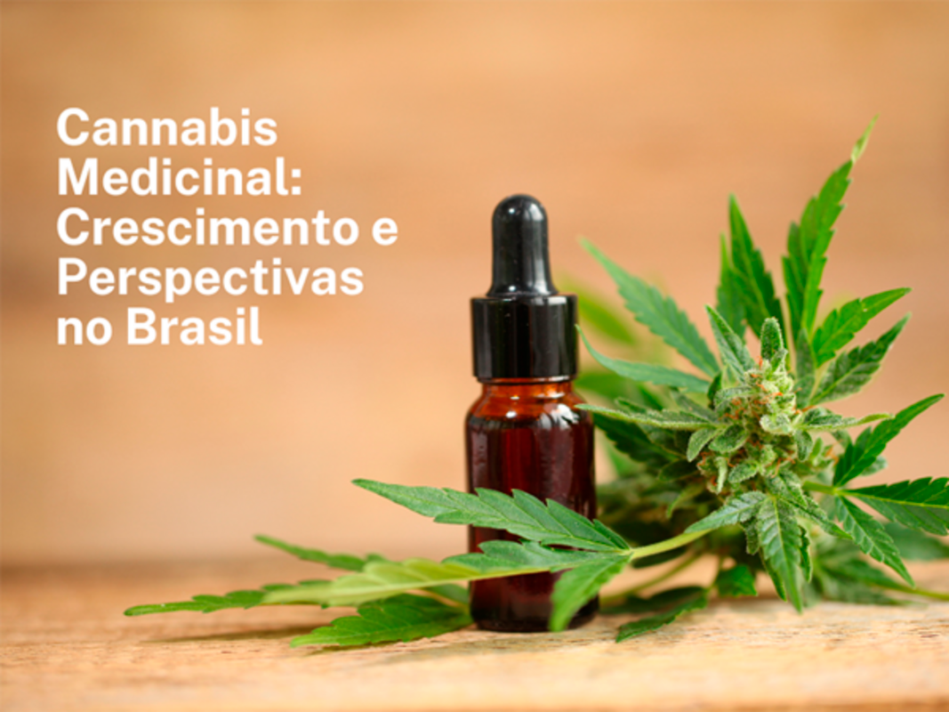 Cannabis medicinal demonstra crescimento otimista no Brasil