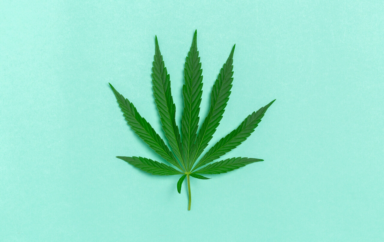 A jornada dos EUA ao tentar reclassificar a cannabis