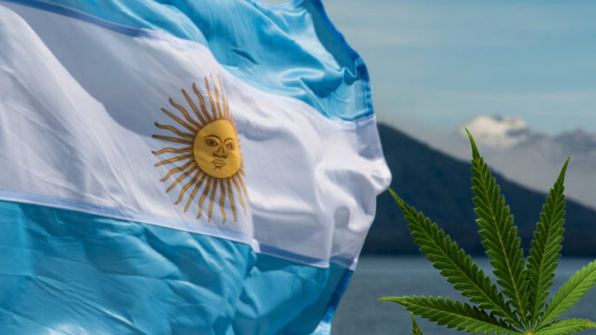 Anita Krepp | Cannabis na Argentina não é urânio enriquecido