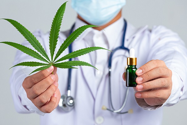 Anvisa anuncia liberação da manipulação de cannabis medicinal; o que muda?