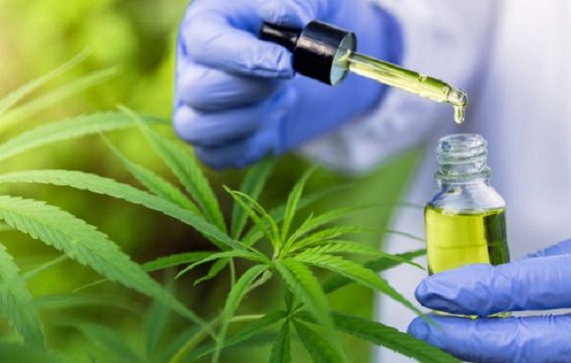 Anvisa libera manipulação de cannabis medicinal: impac... ABC do ABC