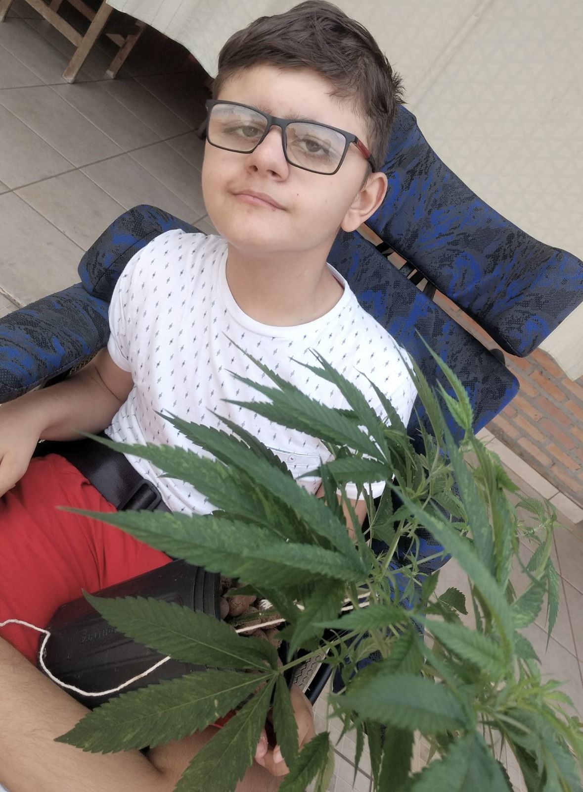Como a cannabis tem ajudado a tratar milhares de pacientes no Brasil