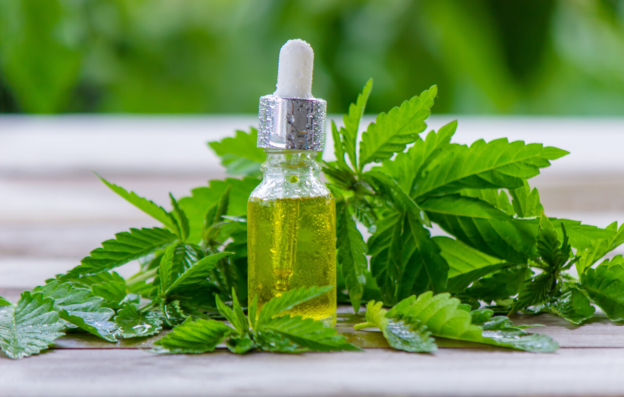 Governo de São Paulo veta lei sobre produção de cannabis