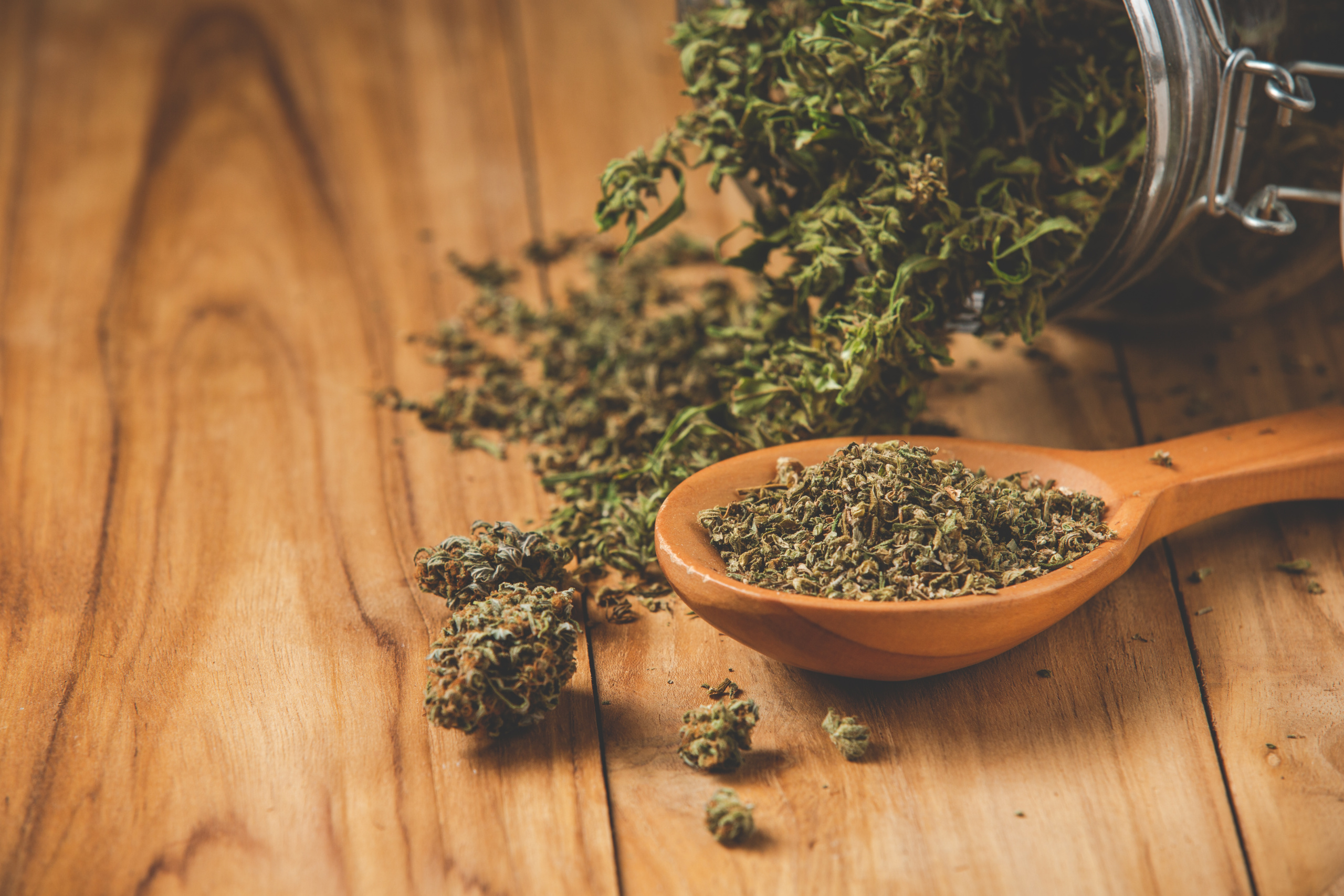 Homem com ansiedade tem salvo-conduto para plantar maconha