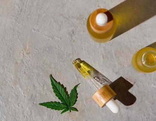 Humanização fortalece adesão ao tratamento com Cannabis medicinal no Brasil - Jornal Estado de Minas