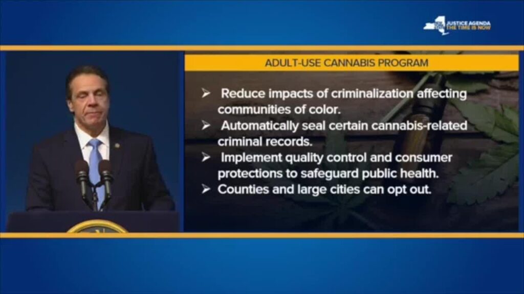 Impostos, taxas e multas sobre cannabis arrecadam US$ 80 milhões para NY no ano fiscal
