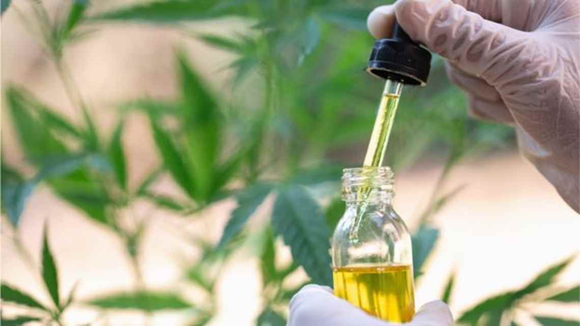 Justiça nega maioria dos pedidos por maconha medicinal gratuita no Brasil