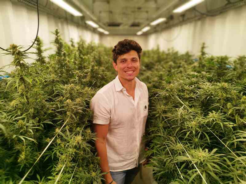 "Não podemos deixar essa ferramenta poderosa, que é a cannabis medicinal, se esvair" - Revista Algomais
