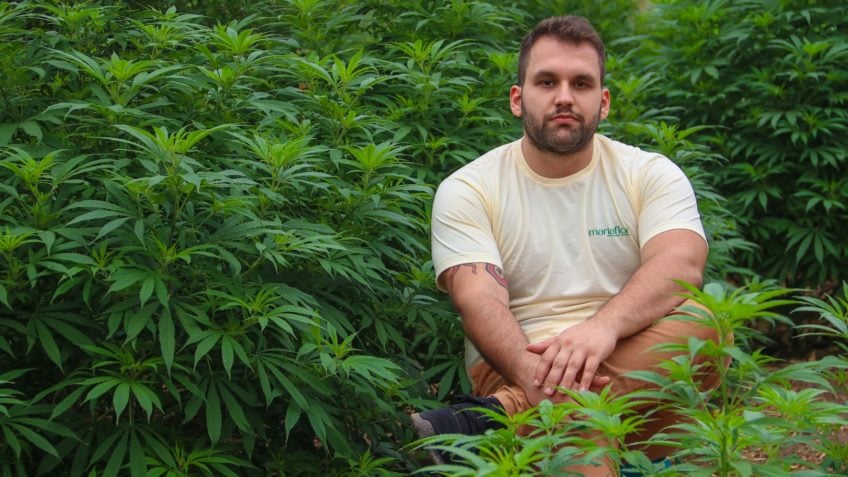 Anita Krepp | Se a cannabis chegou aonde está, foi graças aos advogados