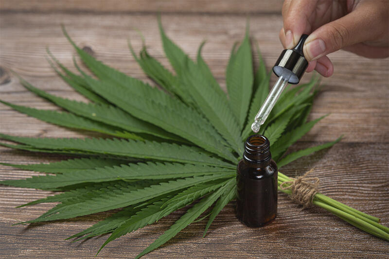 Anvisa estuda liberar manipulação de cannabis medicinal