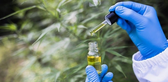Como a cannabis medicinal pode ajudar no tratamento do câncer