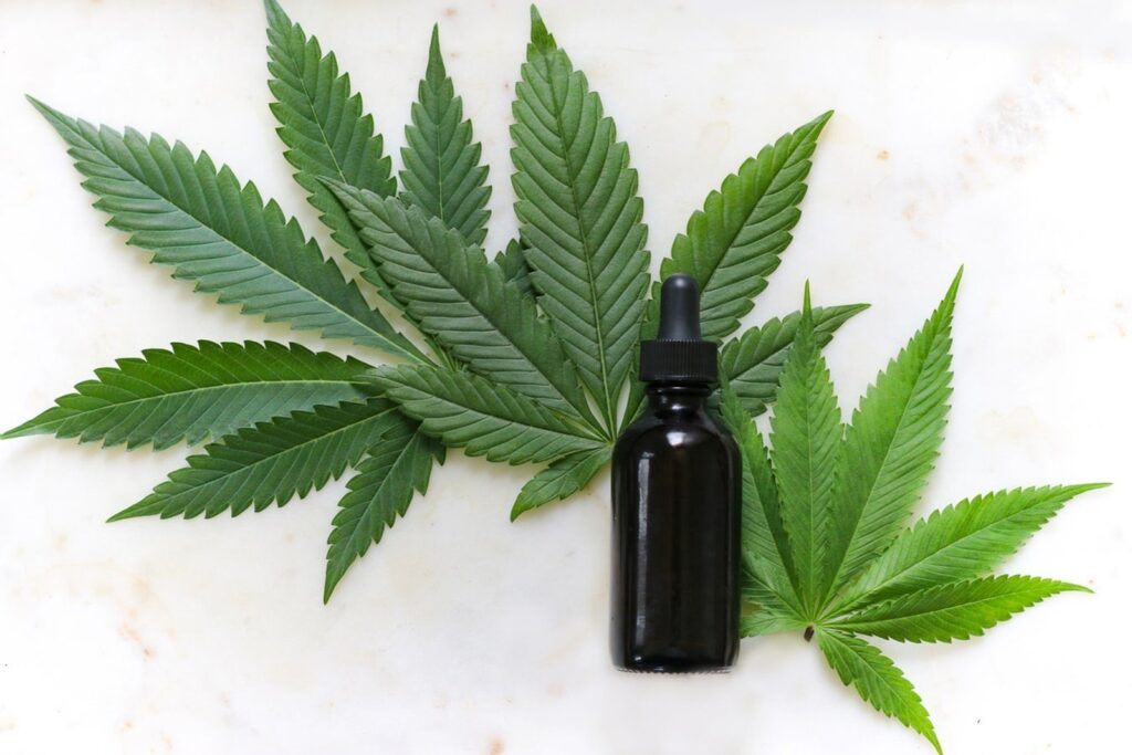 Como a cannabis pode ajudar no tratamento do câncer