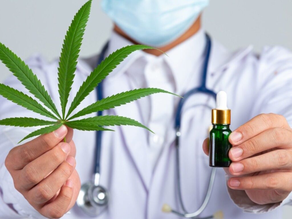 Congresso sobre uso terapêutico da cannabis reúne especialistas na Unesp em Araraquara