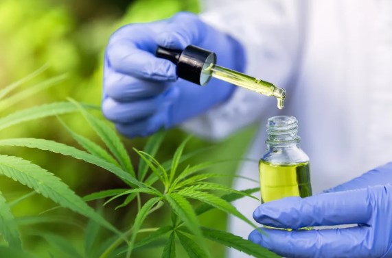 Decisão do TJRN autoriza tratamento de pacientes de diversas doenças com canabidiol