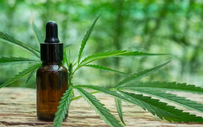 Maconha medicinal: o que as últimas pesquisas indicam - Jornal Floripa