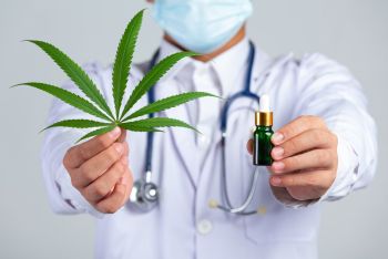 O uso da cannabis: benefícios e efeitos no organismo