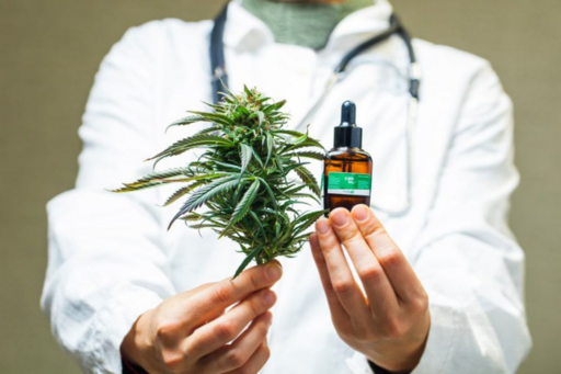 RSC PORTAL / Saúde / Assembleia Legislativa aprova capacitações para prescrição de medicamentos à base de canabidiol no SUS