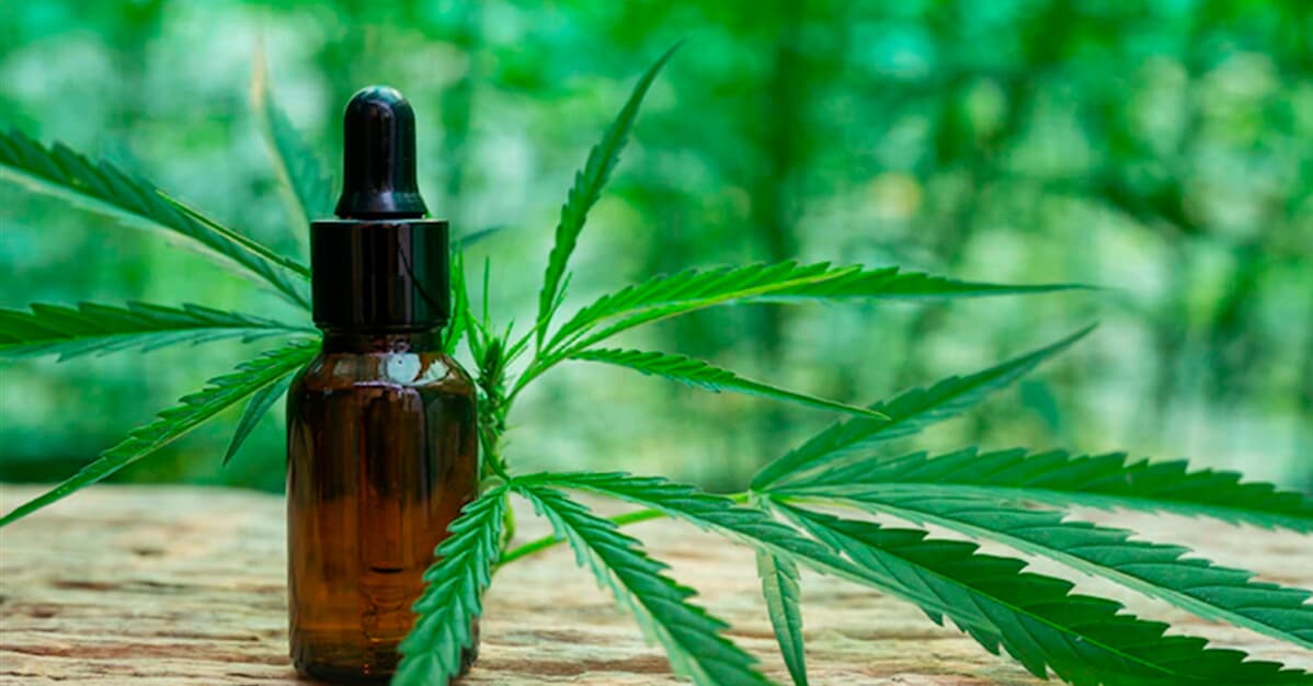 STJ mantém prazo para regulamentação de produção de cannabis medicinal