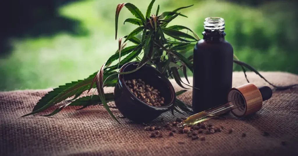 São Paulo veta PL que amplia acesso a itens de cannabis medicinal