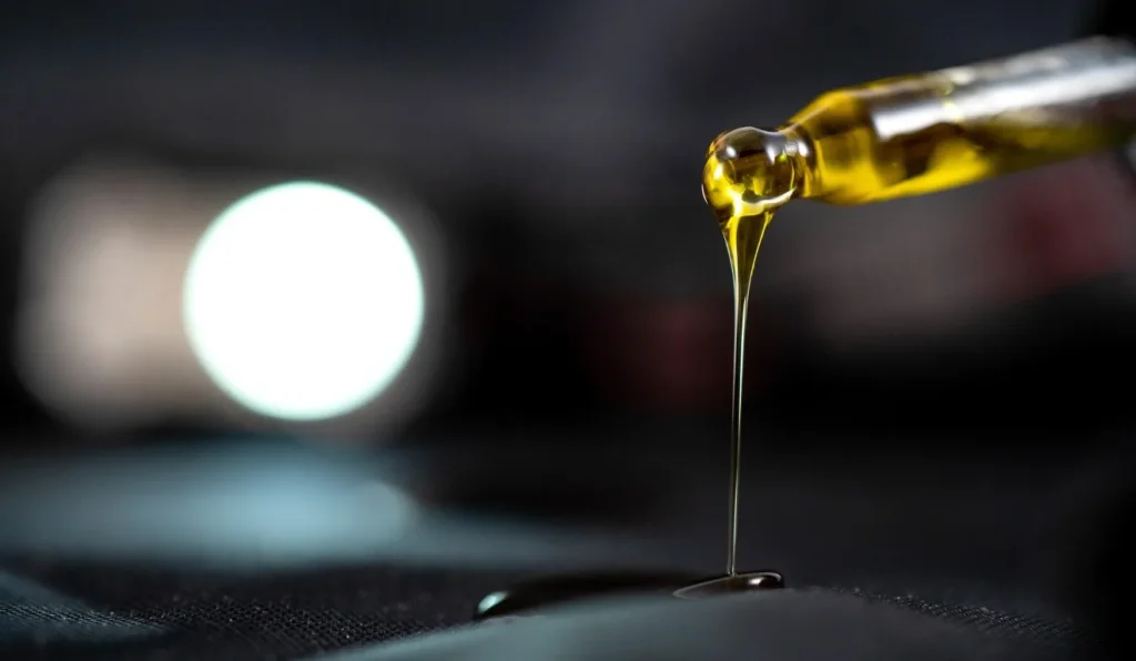 Vereadora propõe campanha sobre uso de cannabis medicinal
