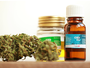 A alta do número de HCs para uso medicinal da cannabis