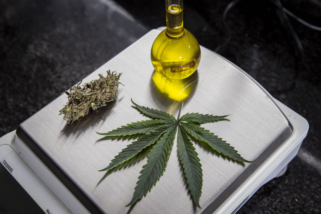 Anvisa propõe maconha medicinal em farmácia de manipulação - 26/03/2025 - Equilíbrio e Saúde