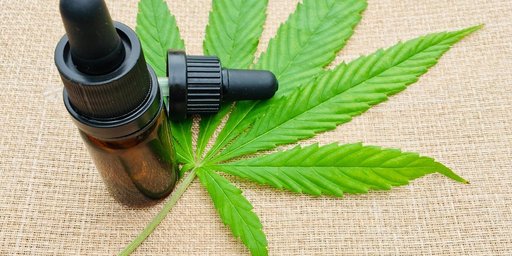 Anvisa propõe venda de cannabis medicinal em farmácia de manipulação