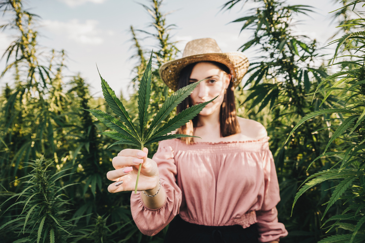 Anvisa propõe venda de cannabis medicinal em farmácias de manipulação