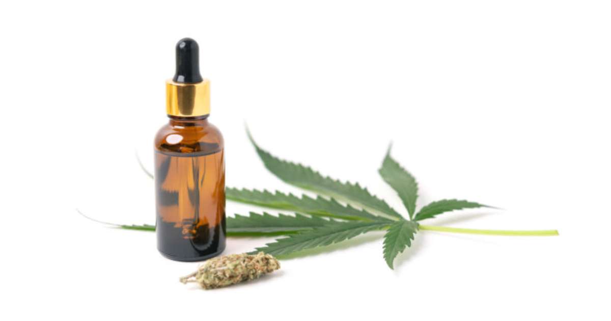 Brasil avança com Consulta Pública sobre o uso da Cannabis Medicinal; Participe!
