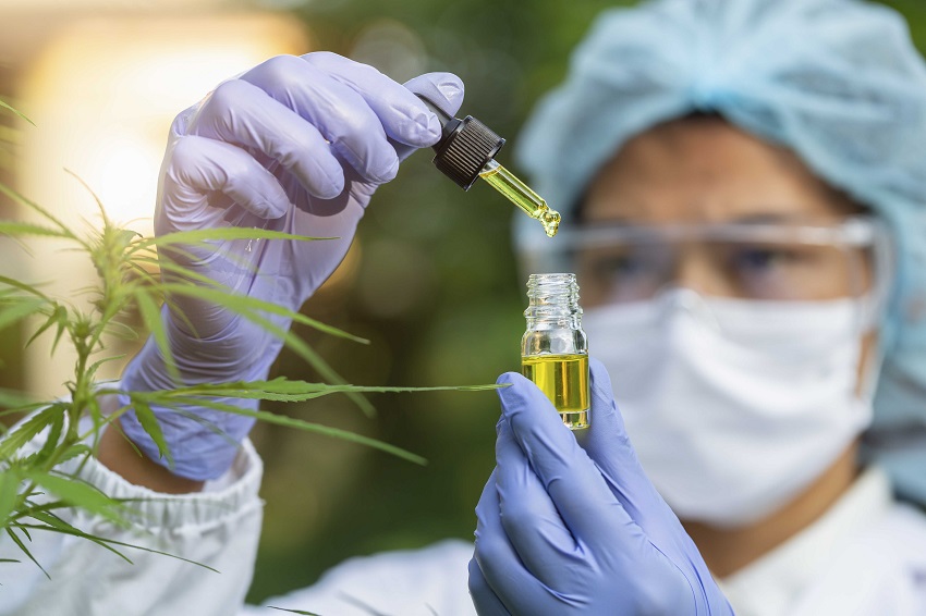CNPq aprova projeto para avanço no controle de qualidade de produtos à base de Cannabis