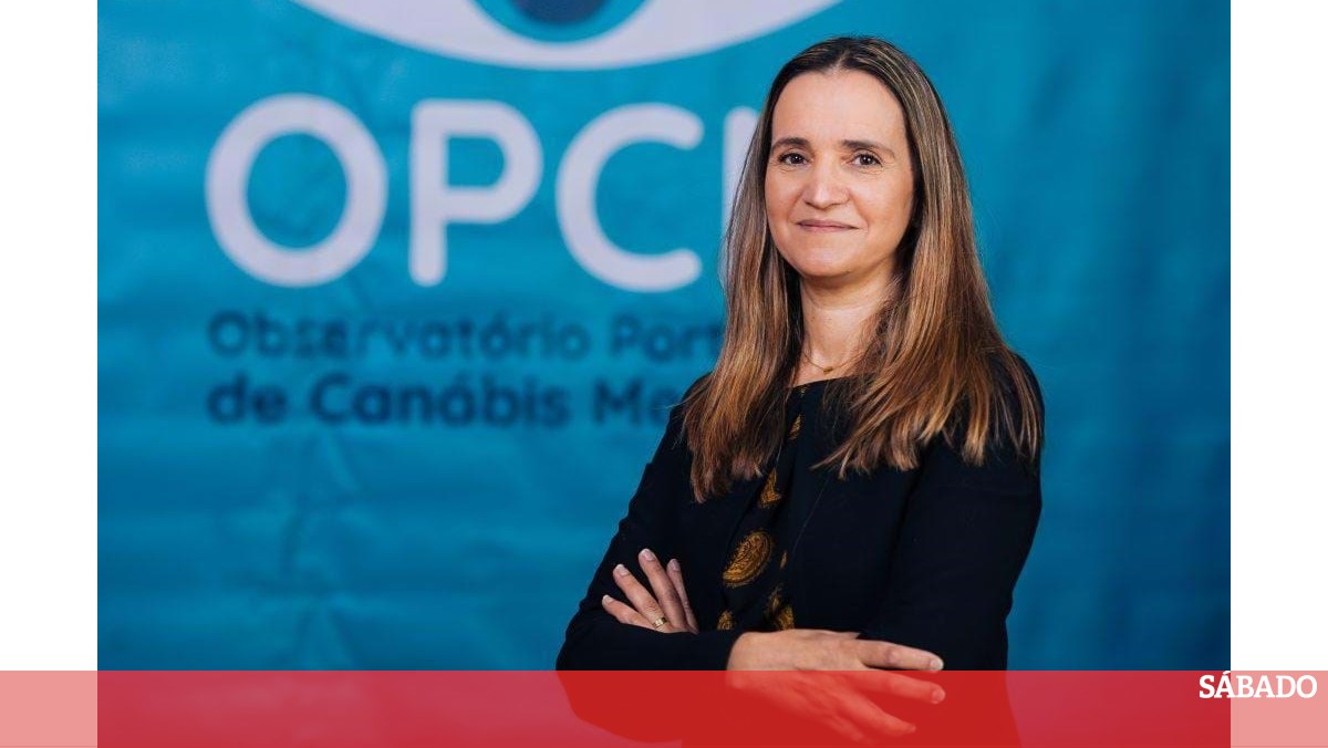 Canábis medicinal: "Os doentes interrompem o tratamento porque é caro. Mas não têm outra opção" - Ciência & Saúde