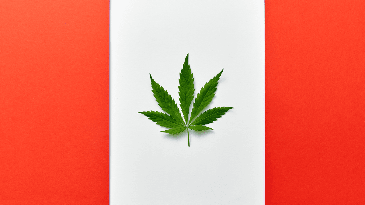 Canadenses consideram que legalização da cannabis foi a maior conquista de Justin Trudeau