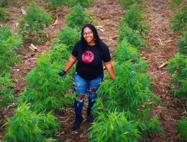 Cidade fluminense conquista decisão histórica para cultivar cannabis medicinal