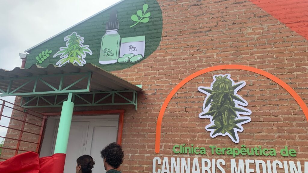 Clínica pública de cannabis vai atender 500 pacientes