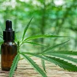 DP aciona Justiça para garantir regulamentação imediata da lei estadual que prevê distribuição de canabidiol pelo SUS