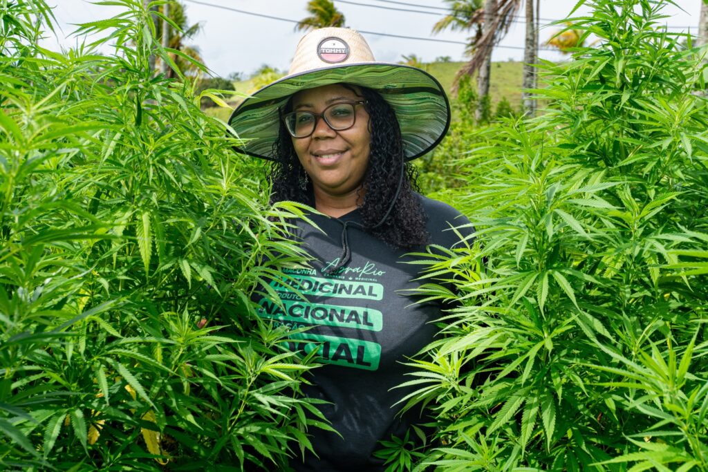 Decisão histórica em Niterói: AbraRio conquista direito de cultivar cannabis medicinal