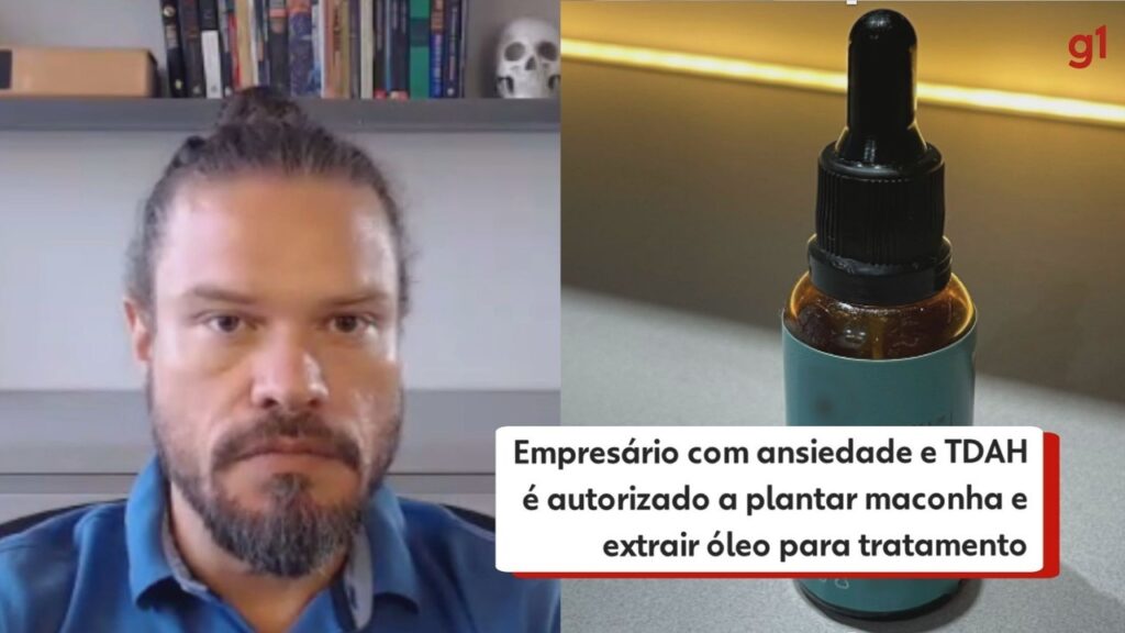 Empresário com ansiedade e TDAH é autorizado pela Justiça do Paraná a plantar maconha e extrair óleo para tratamento; entenda decisão | Norte e Noroeste