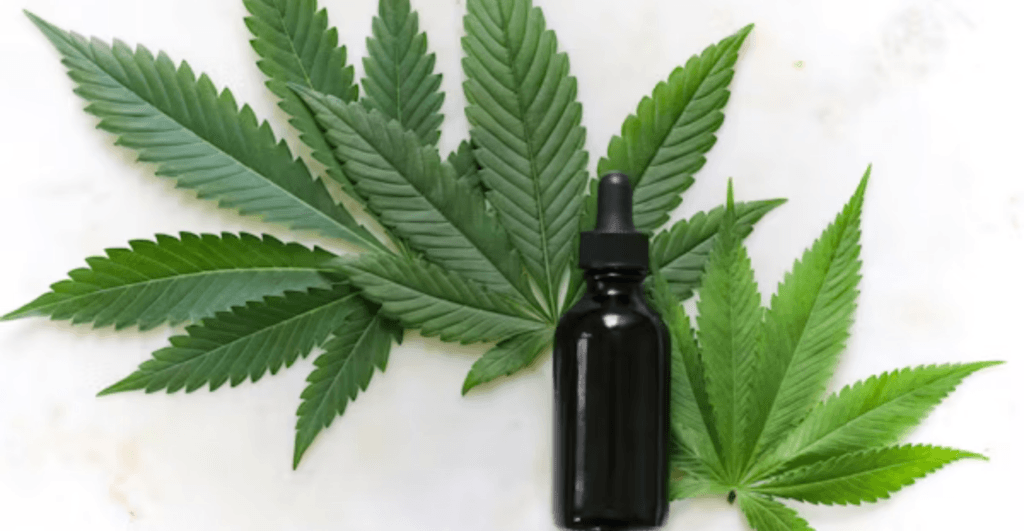 Humora adquire laboratório de cannabis e amplia operações nos EUA