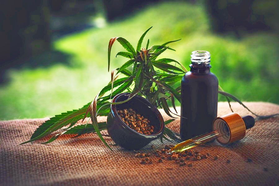 Justiça autoriza morador de Londrina a cultivar Cannabis para fins medicinais