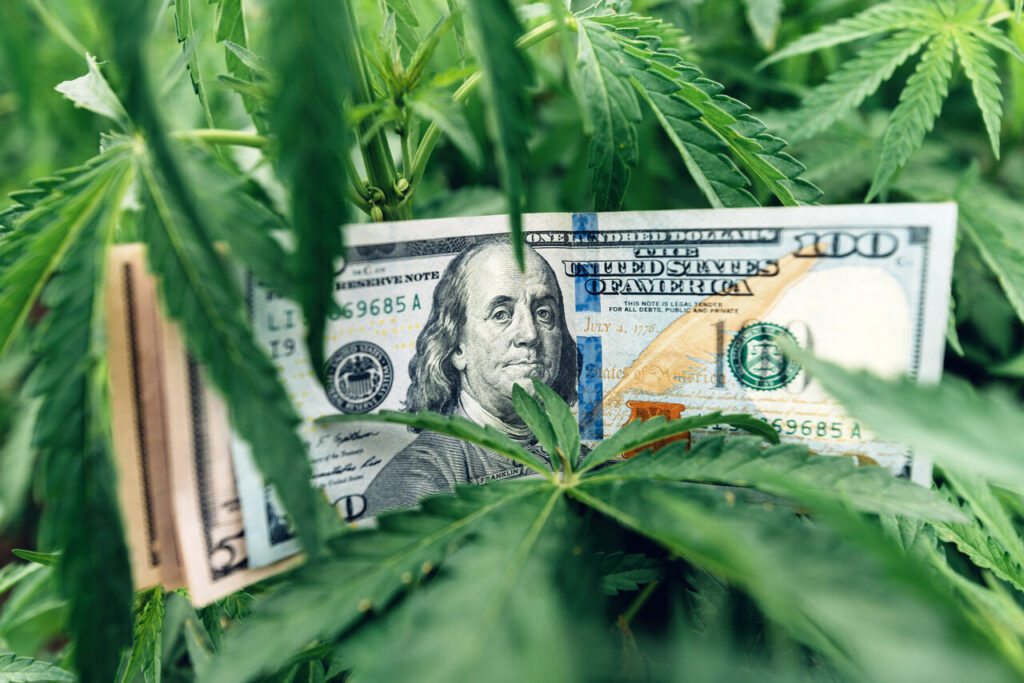 Mercado global de cannabis deve atingir US$1,3 bi em dez anos