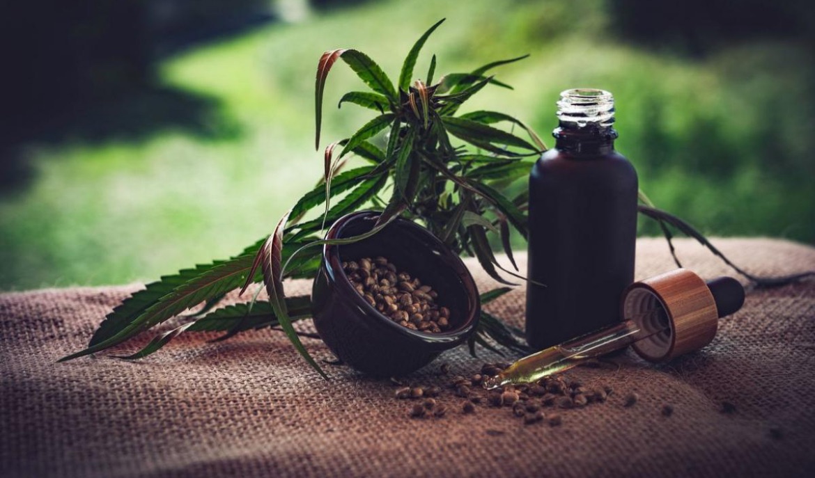 Ministro nega recurso de mato-grossense que pede autorização para plantar cannabis