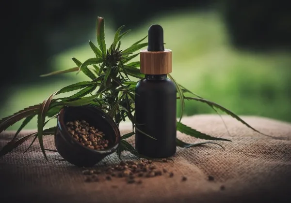 Nova regra da Anvisa pode permitir venda de cannabis medicinal em farmácias de manipulação