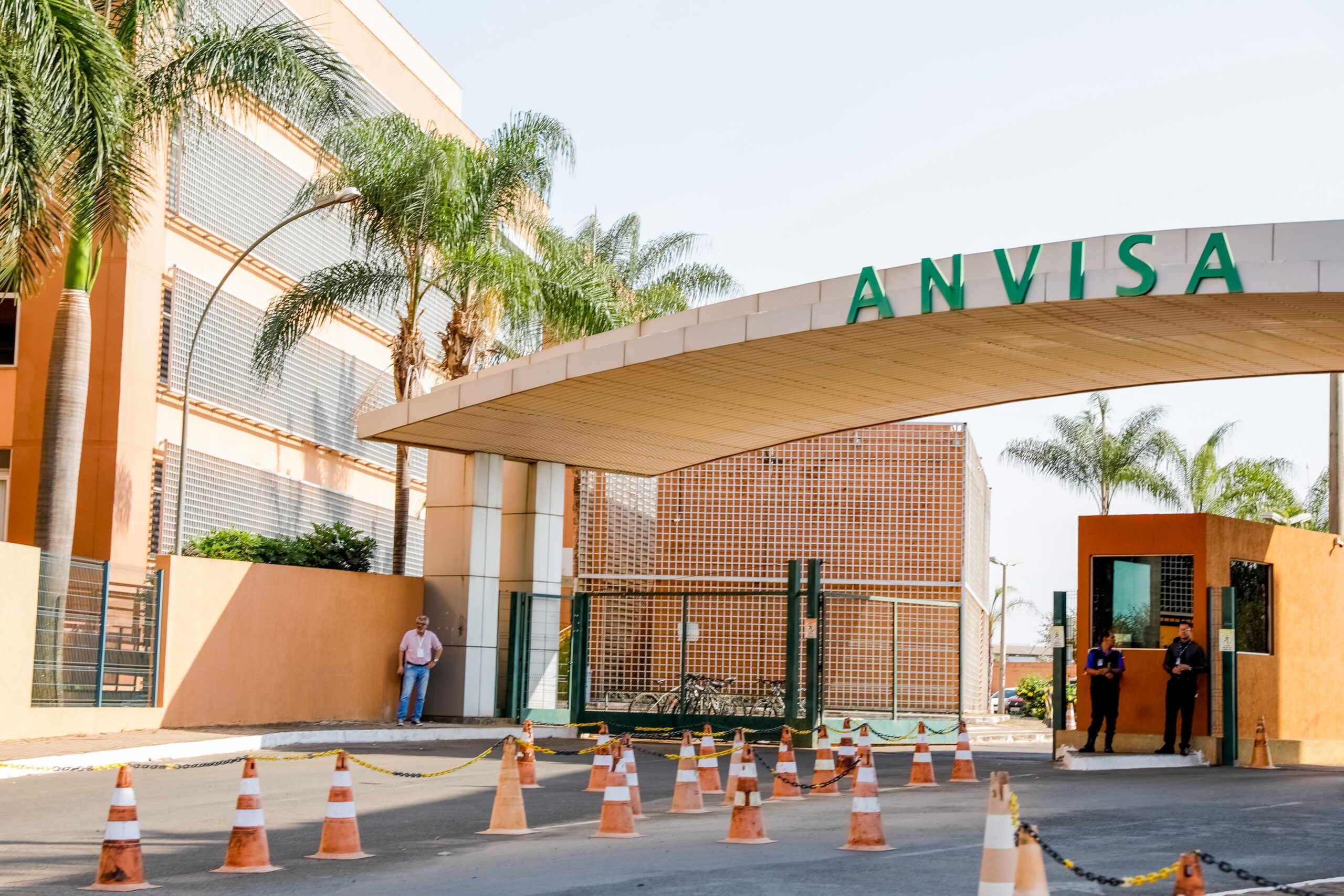 O cuidadoso caminho que deve tomar a ANVISA no setor da cannabis medicinal