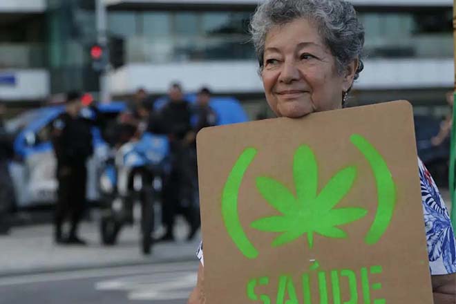 Perfil conservador não impede vereadores de aprovar por unanimidade distribuição de cannabis medicinal pelo SUS em Gravataí