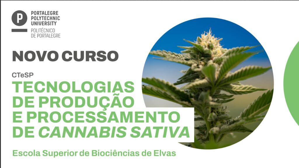 Politécnico de Portalegre oferece curso pioneiro na Europa