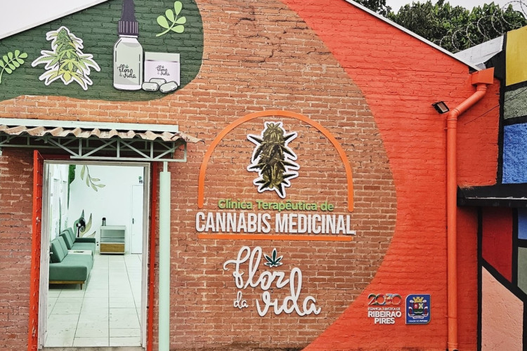 Primeira clínica pública de cannabis medicinal do Brasil é inaugurada em SP