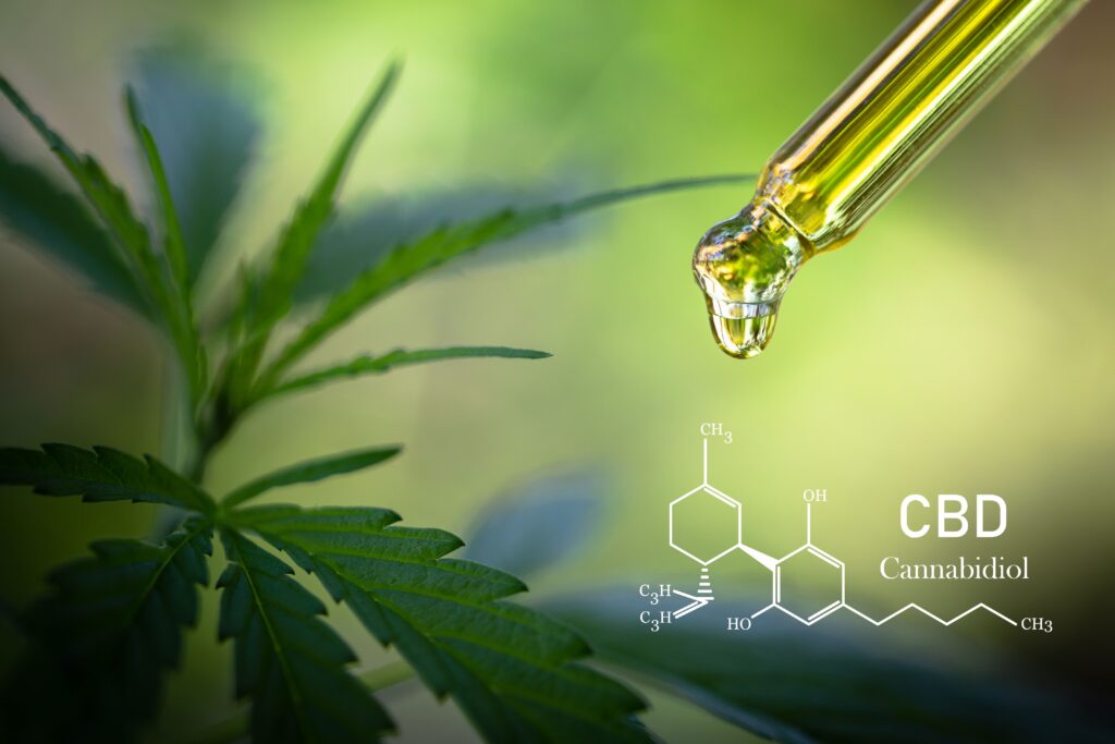 Propostas de revisão da RDC 327 aponta riscos para acesso à cannabis medicinal