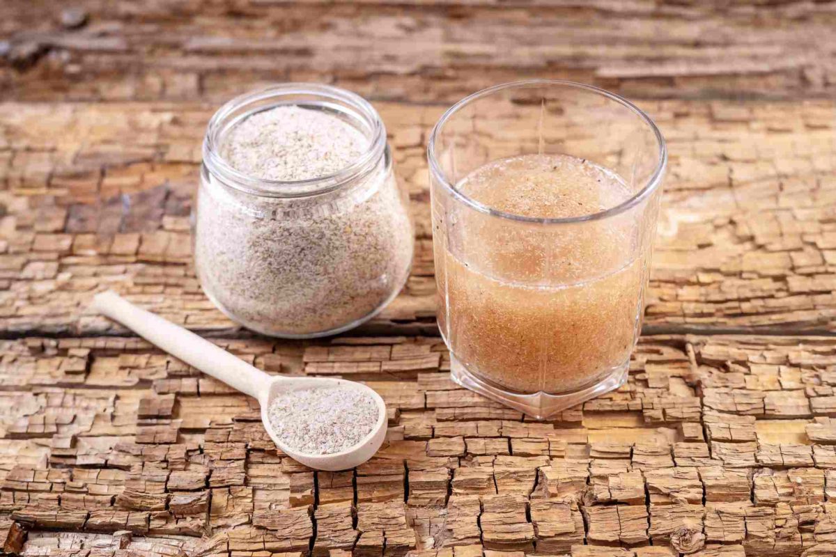 Psyllium: entenda como a semente ajuda a perder gordura e emagrecer