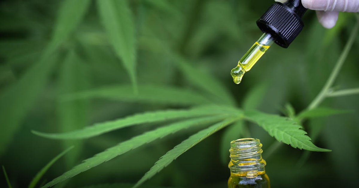 Remédios com canabidiol? Anvisa propõe que produtos com cannabis sejam vendidos em farmácias de manipulação; entenda